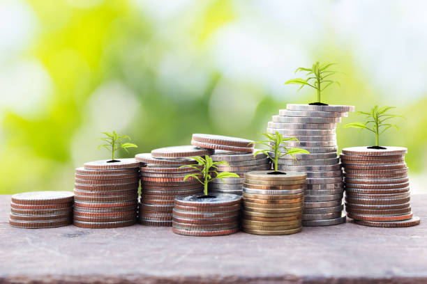 istock Financial planning, Money growth concept. Coins with young plant on table with backdrop blurred of nature 974011996
