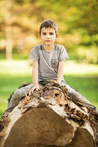 Little boy sitting on a tree log outdoors in park