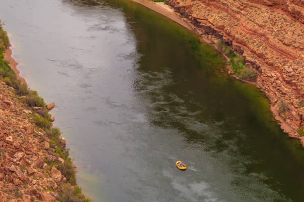 рафтинг по реке колорадо. - rafting white water rafting river colorado стоковые фото и изображения