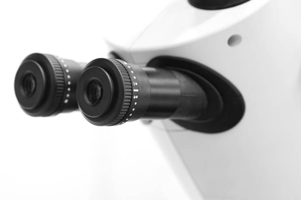 microscopio binoculare oculare primo-up - technician isolated on white work tool magnification foto e immagini stock