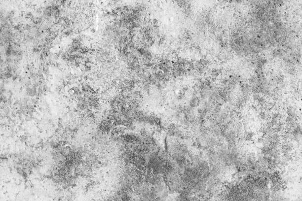 istock cement surface texture of concrete, gray concrete backdrop wallpaper 974025104