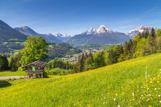 istock Alpine scenery with traditional mountain chalet in summer 974031102