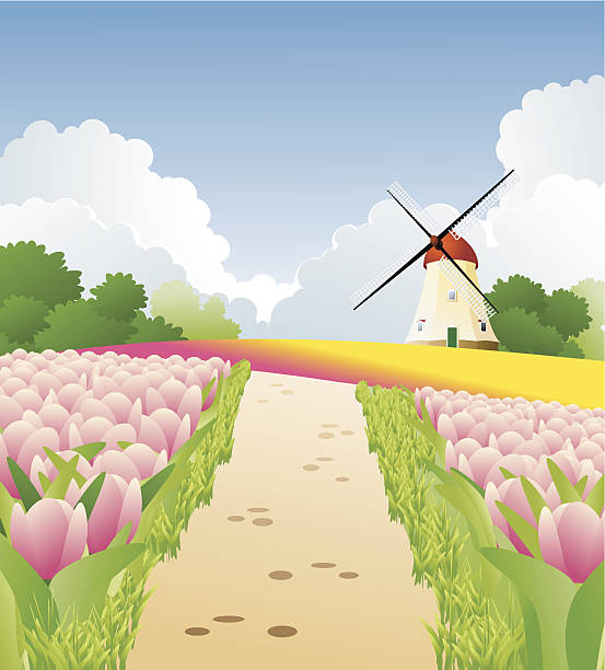 Tulips from Holland vector art illustration