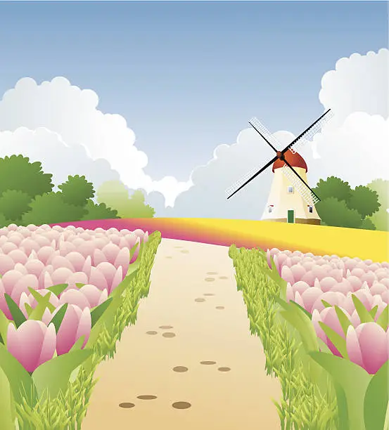 Vector illustration of Tulips from Holland