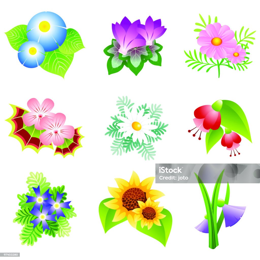 Flowers  Bindweed stock vector