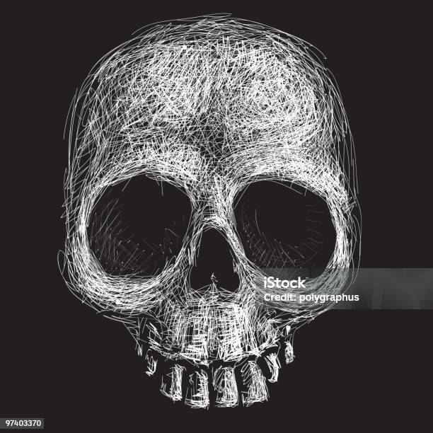 Skull Stock Illustration - Download Image Now - Anatomy, Art And Craft, Biomedical Illustration