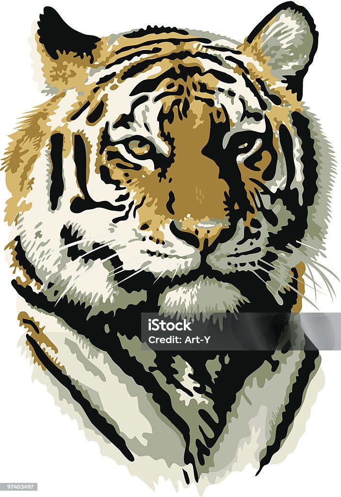 Tigre - Royalty-free Tigre arte vetorial