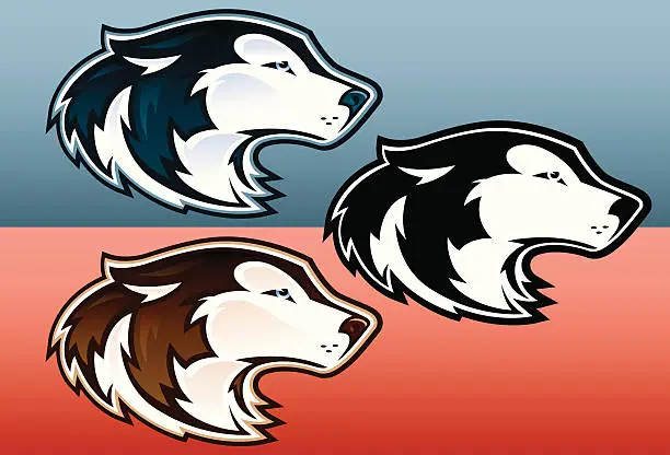 Vector illustration of Husky Heads