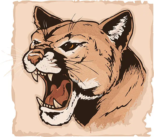 Vector illustration of Cougar Head
