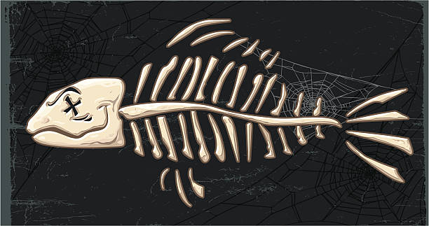 ilustrações, clipart, desenhos animados e ícones de peixe de esqueleto - black background studio shot horizontal close up