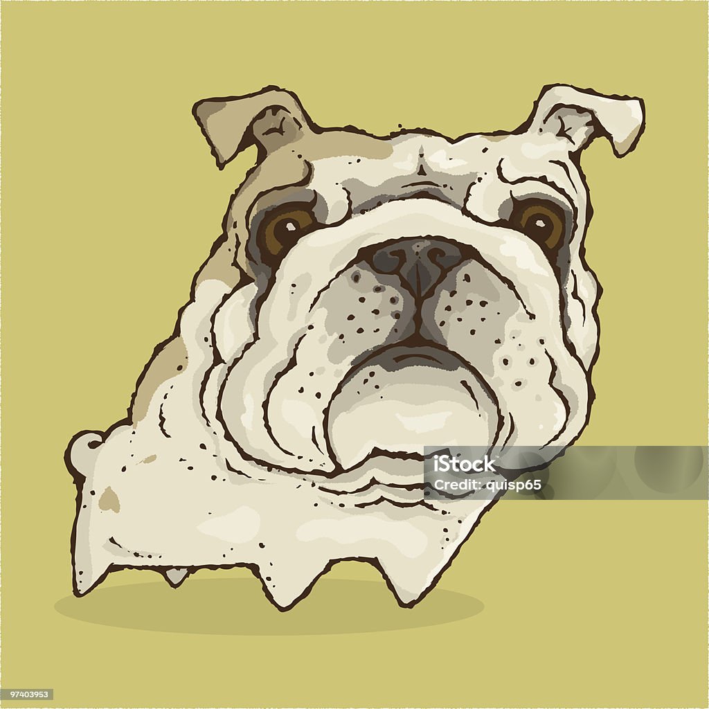 Bulldogge - Lizenzfrei Blick in die Kamera Vektorgrafik