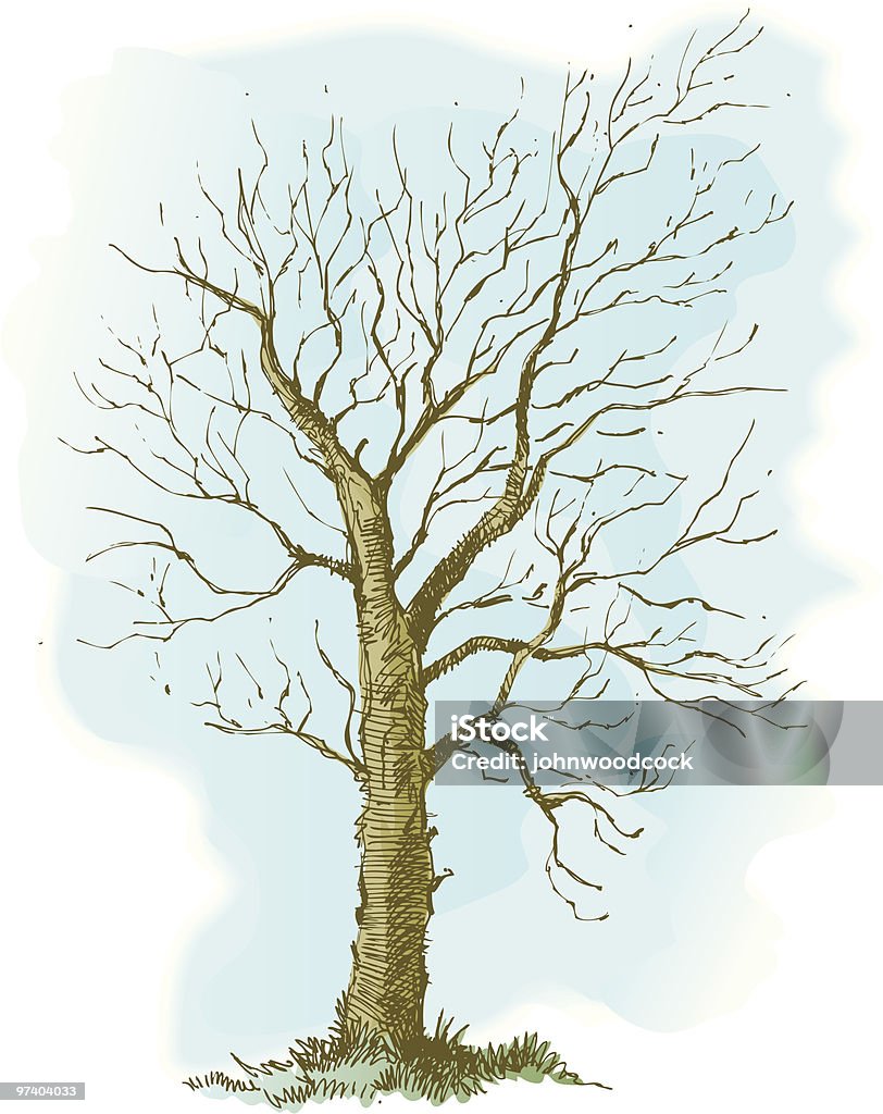 Skizzenhafte winter Baum. - Lizenzfrei Aquarell Vektorgrafik