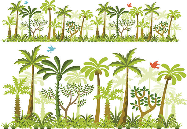 jungle - four animals illustrations stock illustrations