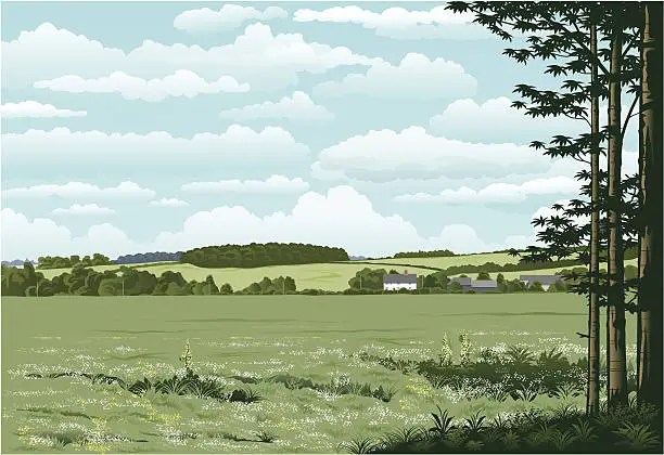 Vector illustration of Suffolk woodland.