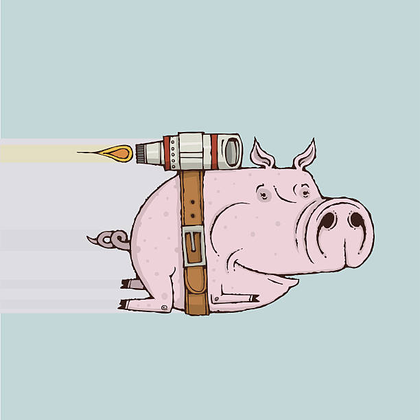 돼지가 나는 - when pigs fly stock illustrations