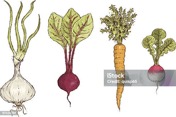 Verdure Fresche - Immagini vettoriali stock e altre immagini di Barbabietola - Barbabietola, Carota, Sfondo bianco