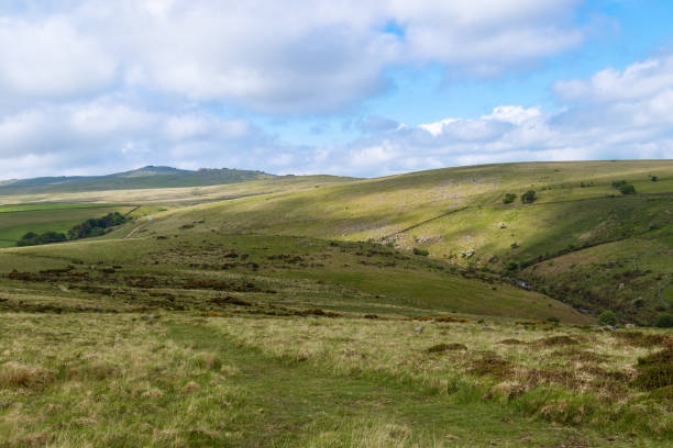 istock Dartmoor National Park 974045328