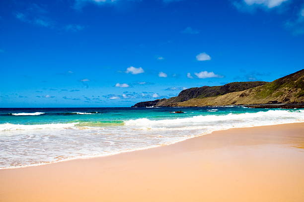 istock Fernando de Noronha - Brazil 97404944