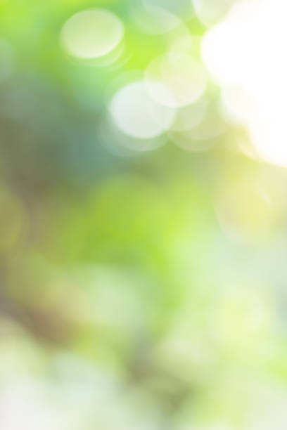 istock green blurred backdrop of nature, circle light wallpaper, white bokeh background 974065746