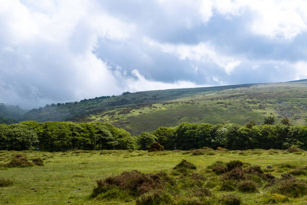 istock Dartmoor National Park 974066014