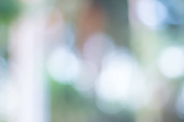 istock green blurred backdrop of nature, circle light wallpaper, white bokeh background 974080556