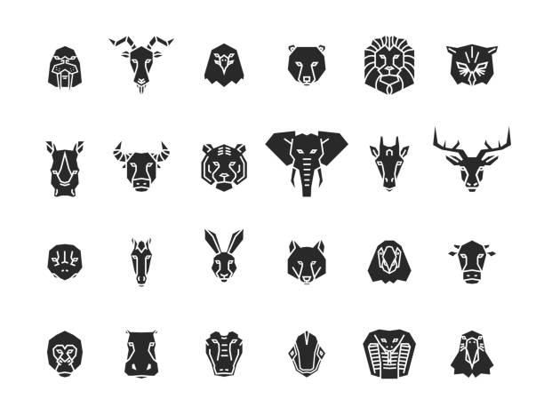 illustrations, cliparts, dessins animés et icônes de 24 icônes tête animales. collection d’illustration géométrique unique vecteur représentant certains des animaux plus célèbres de vie sauvage. - elephants head