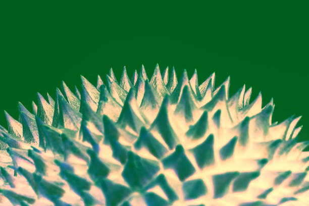 Abstract durian fruit thorns close up
