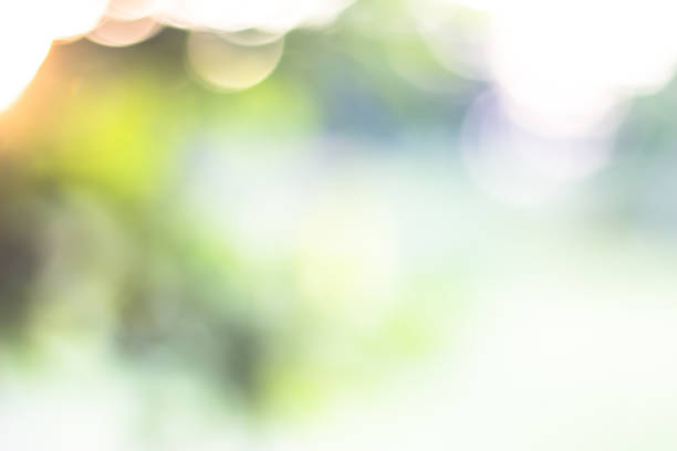 istock green blurred backdrop of nature, circle light wallpaper, white bokeh background 974090666