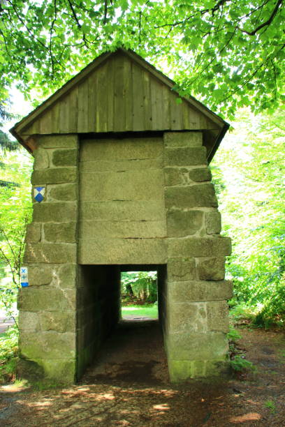 istock bear trap in the fichtelgebirge 974092608
