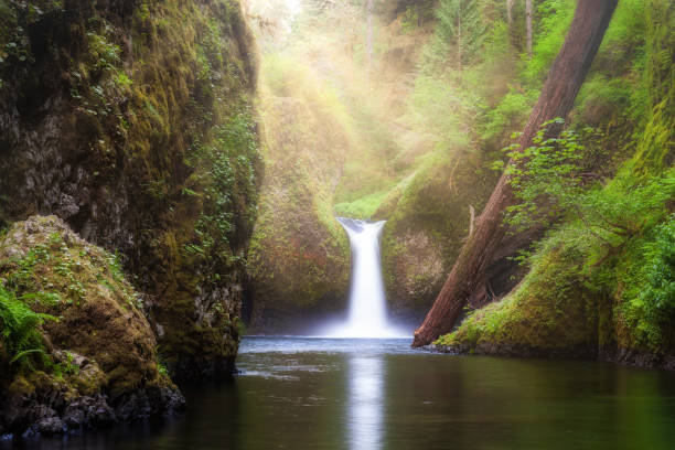 istock Sun ray beams over Punch Bowl Falls waterfall along Eagle Creek in Oregon 974127538