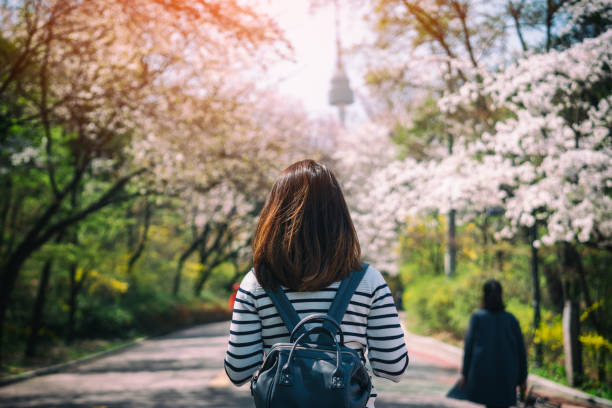 młoda kobieta podróżnik backpacker podróży do n seoul tower w namsan mountain w seulu, korea południowa. - town of blossom zdjęcia i obrazy z banku zdjęć