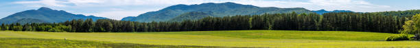 vista panorámica de un bosque - adirondack mountains fotografías e imágenes de stock