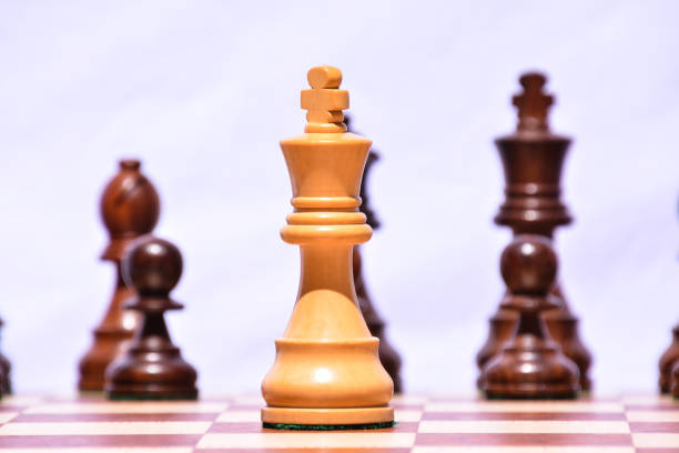 istock Wooden Chess Piece 974147606