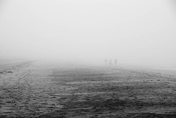 Caminhar através do nevoeiro - fotografia de stock