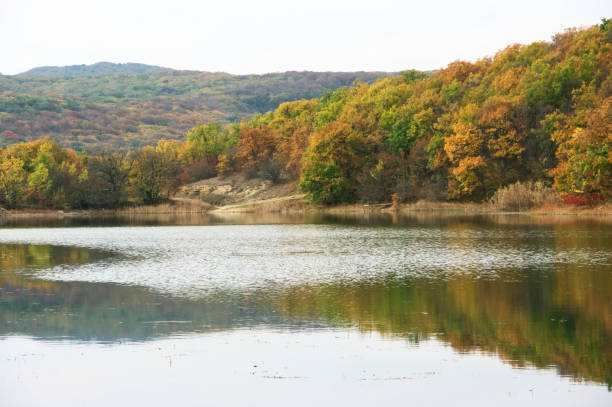 istock Autumnal landscape with lake and hills 974161202