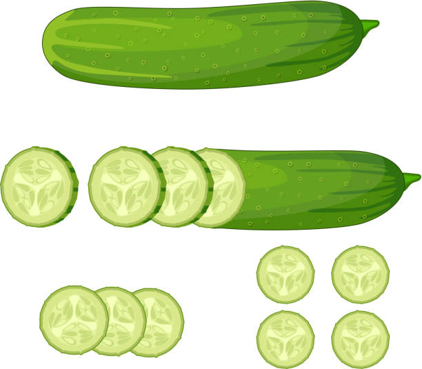 illustrazioni stock, clip art, cartoni animati e icone di tendenza di fetta di cetriolo verde fresco - cucumber