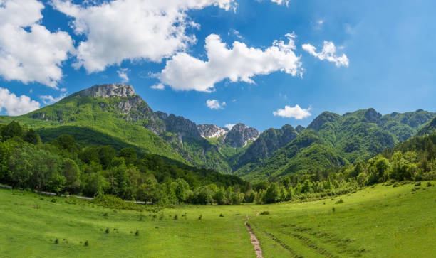 National Park of Abruzzo, Lazio and Molise (Italy) The spring in the italian mountain natural reserve, with landscapes, wild animals, little old towns, the Barrea Lake and Camosciara park abruzzi photos stock pictures, royalty-free photos & images
