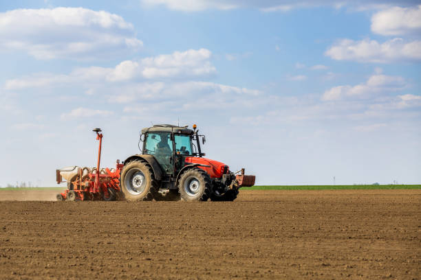 istock Farmer seeding, sowing crops at field. 974164656