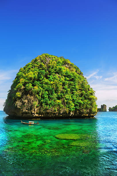 maya bay - phuket province beach blue cliff fotografías e imágenes de stock