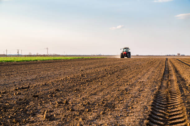istock Farmer fertilizing arable land with nitrogen, phosphorus, potassium fertilizer 974175678
