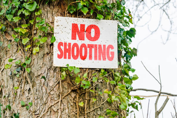 istock No Shooting sign on a tree, peppered with shotgun blasts. 974196170