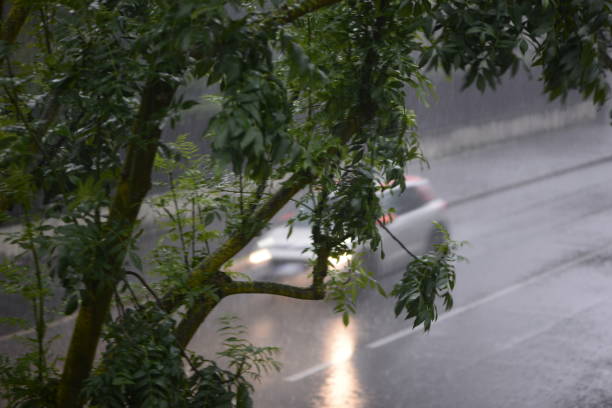 istock cars run on the road during a downpour 974196312