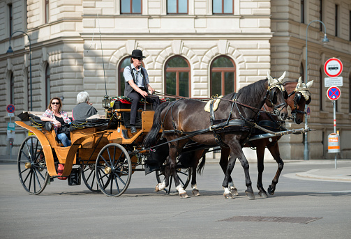 Beautiful view of horse drawn carriage in the downtown Vienna, Austria