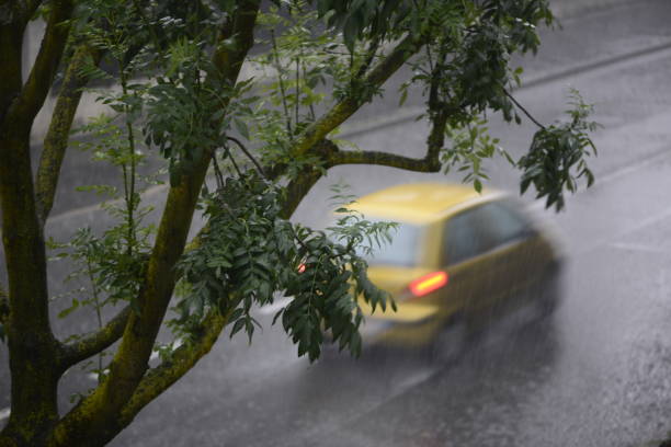 istock cars run on the road during a downpour 974198238