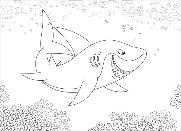 Vector illustration of Grey reef shark over a reef