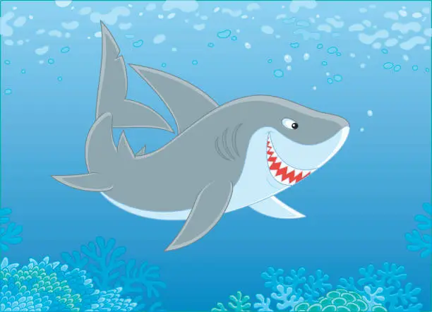 Vector illustration of Grey reef shark over a reef