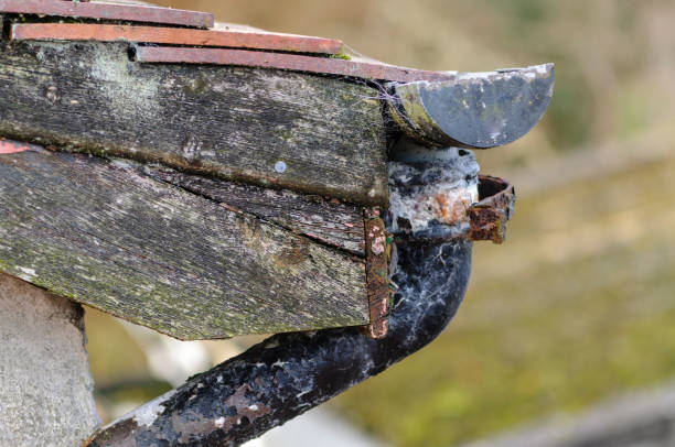istock Rusty gutter and downspout on a roof with eaves in need or repair 974204926