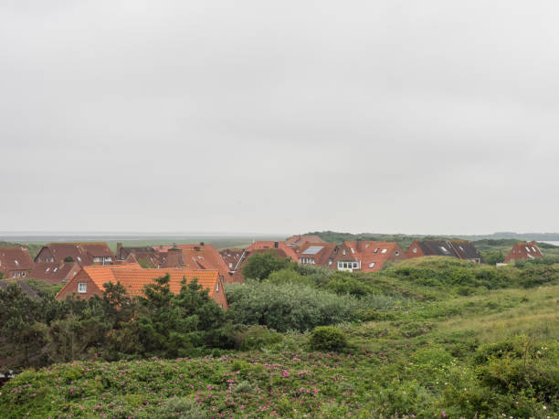 istock the island of juist 974205006