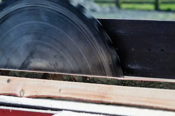 Photo of A large sawblade cuts a tree trunk to size at a saw mill.