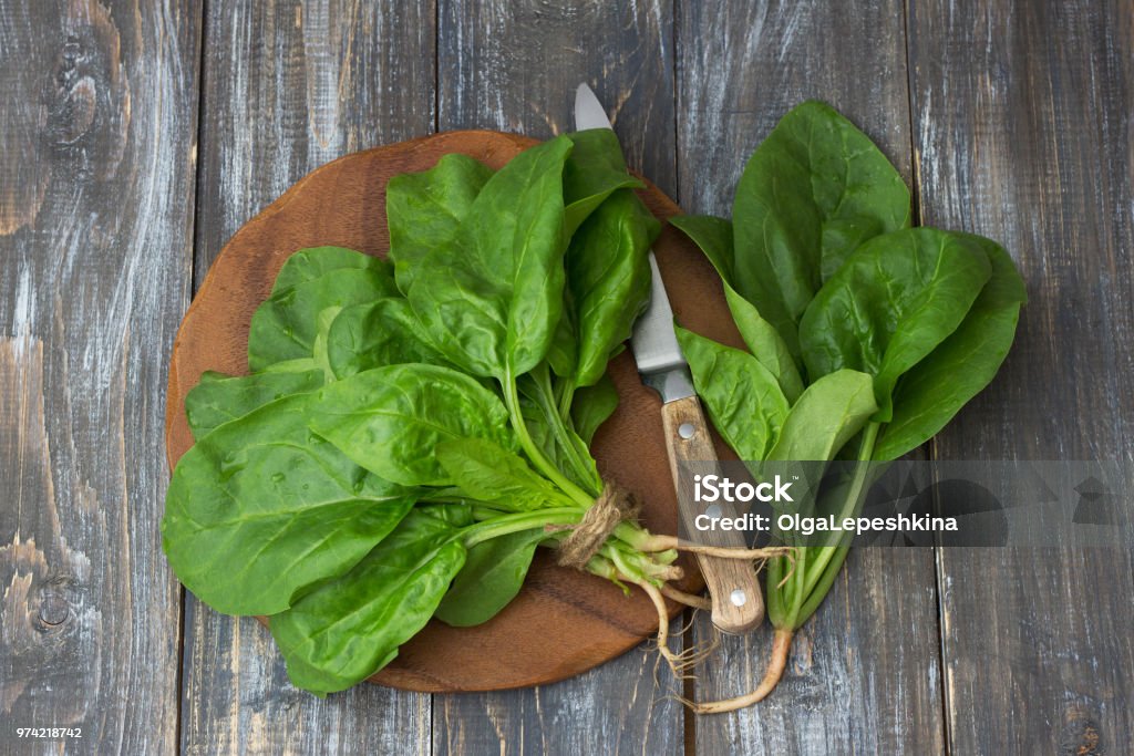 Bunch of fresh spinach with roots on a wooden table Bunch of fresh spinach with roots on a wooden table. rustic style. Spinach Stock Photo